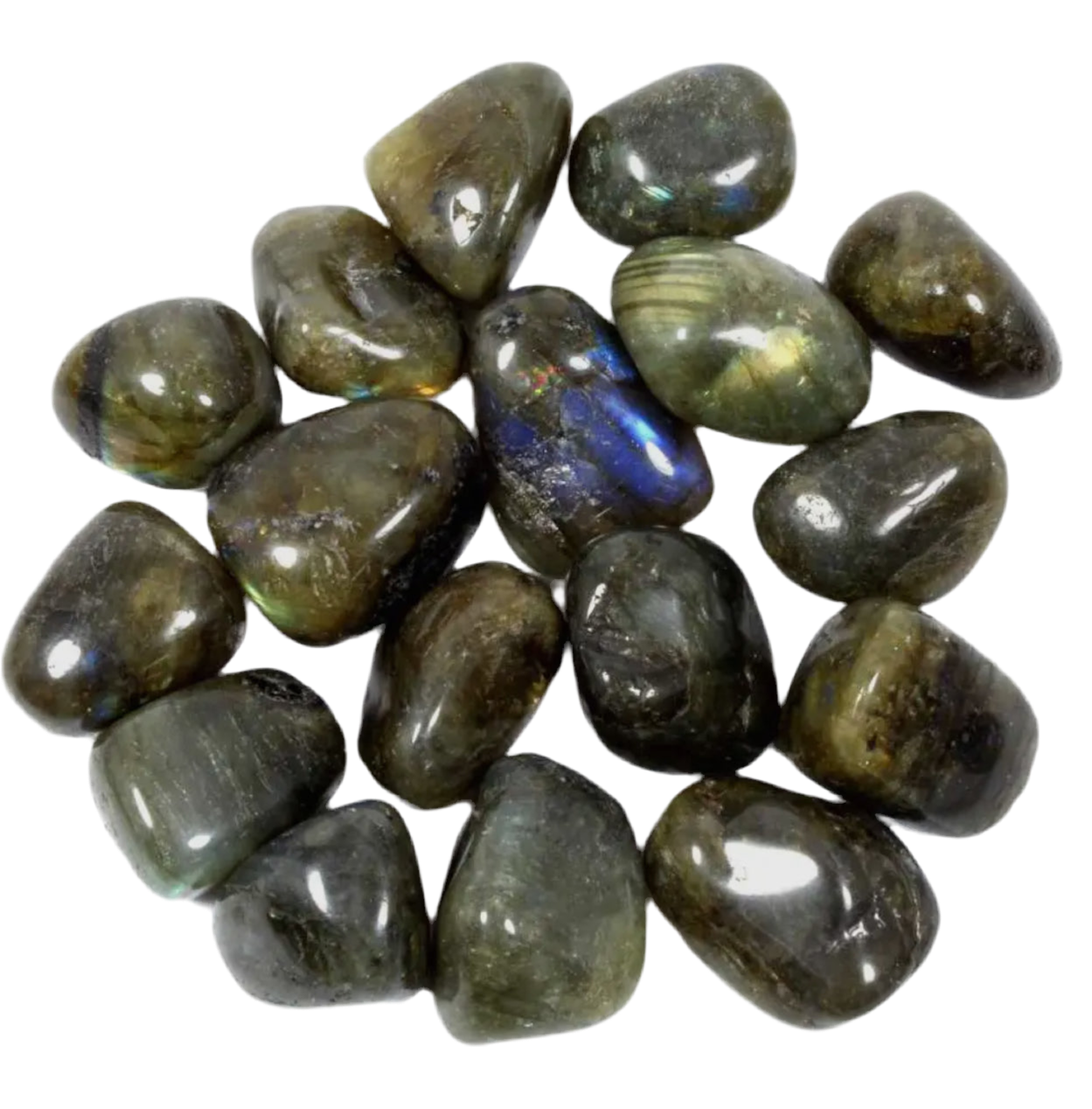 A stunning labradorite tumblestone exhibiting a captivating play of blue, green, and gold iridescence. 