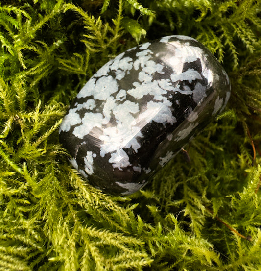 Snowflake Obsidian Polished Tumblestone