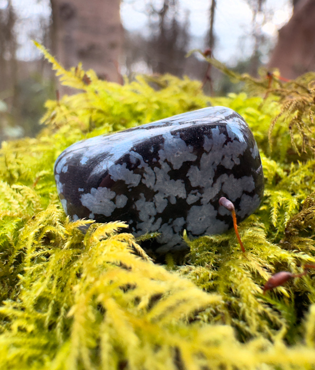 Snowflake Obsidian Polished Tumblestone