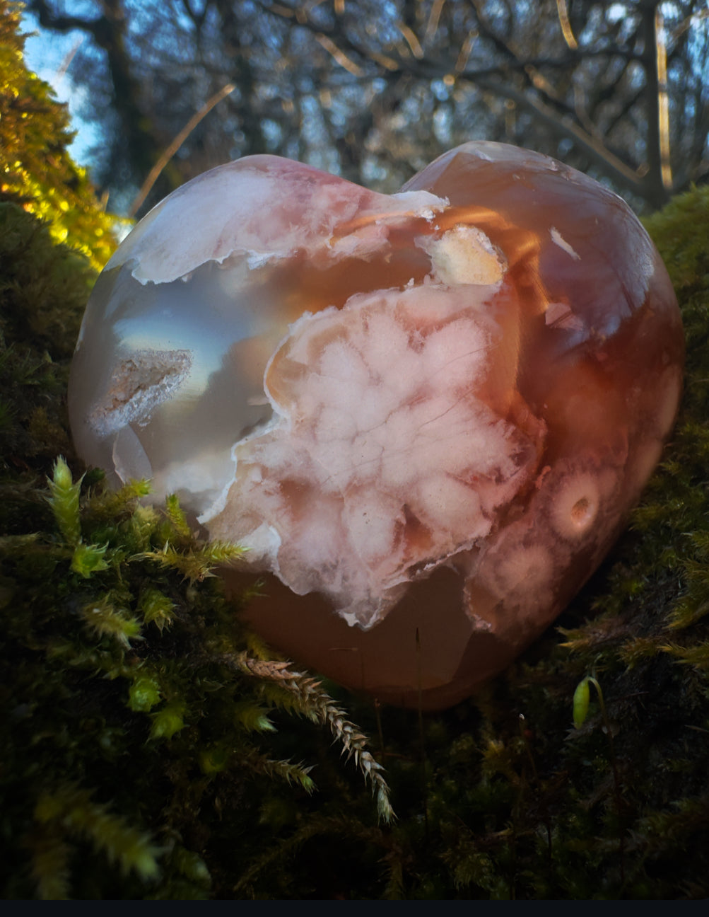 Flower Agate Crystal Heart