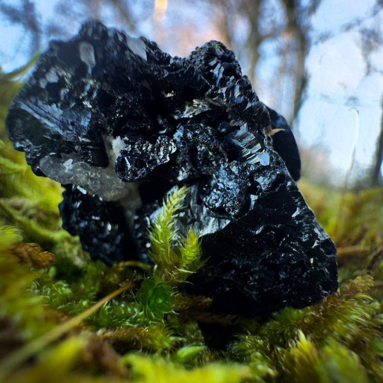 Black Tourmaline Crystal