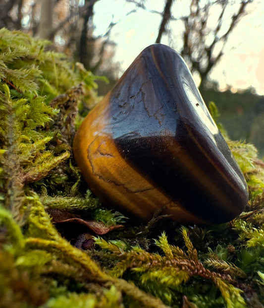 Tigers Eye Polished Tumblestone