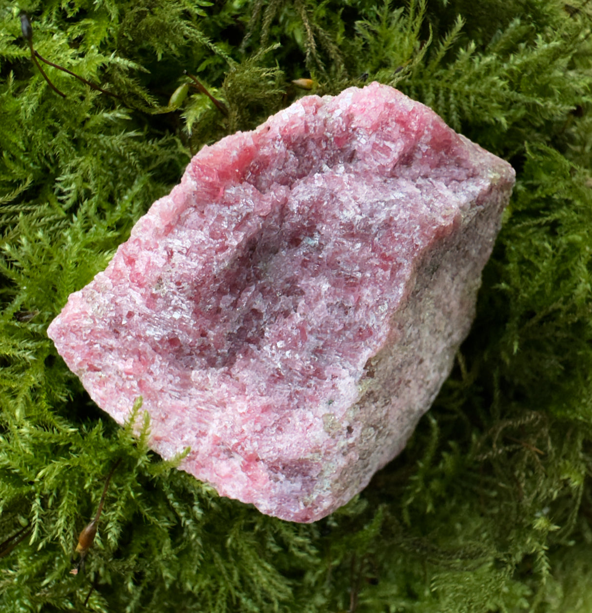 Rhodonite Rough Healing Crystal