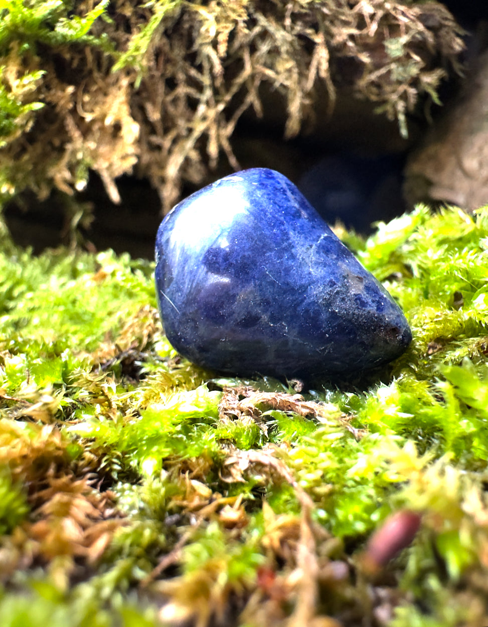 Sodalite Polished Tumblestone