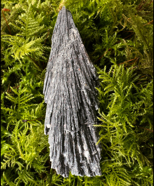 Black Kyanite Crystal