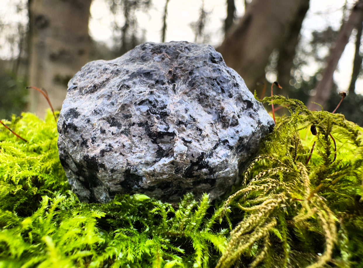 Snowflake Obsidian Rough Healing Crystal