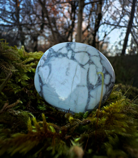 Howlite Worry Stone