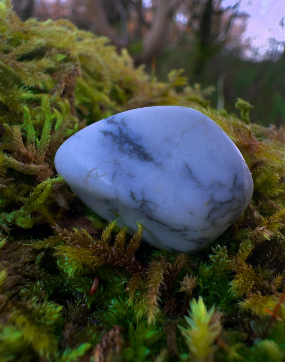 Howlite Polished Tumblestone