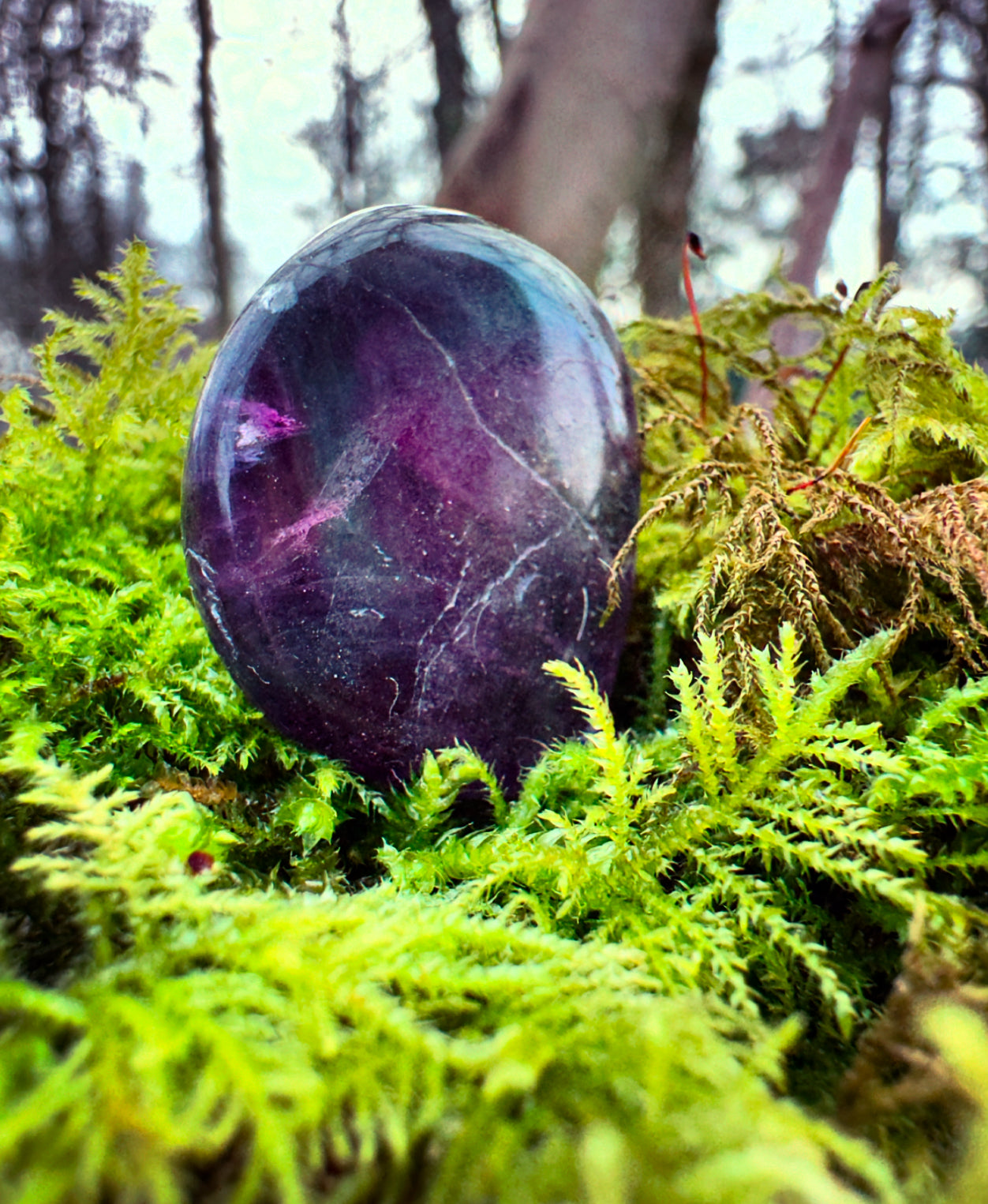 Fluorite Tumblestone