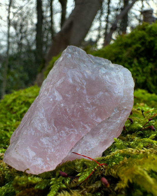 Rose Quartz - Rough Healing Crystal