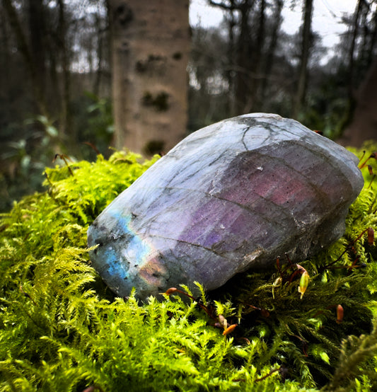 Labradorite Rough Crystal