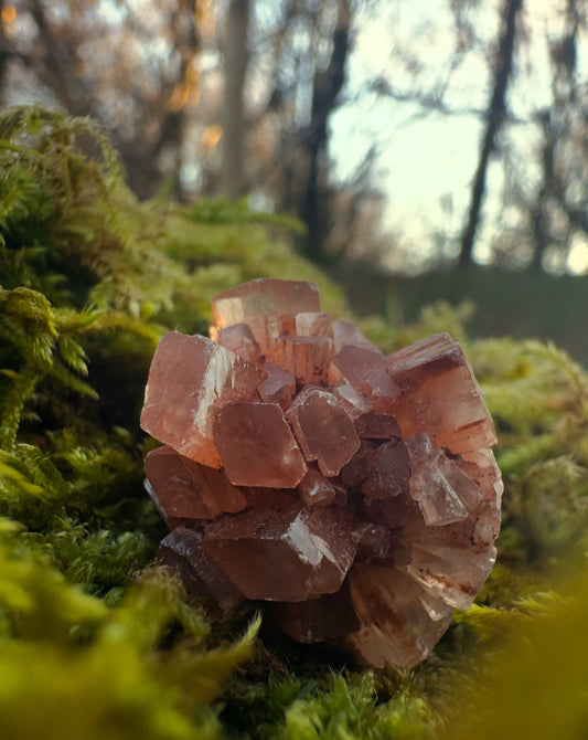 Aragonite Crystal