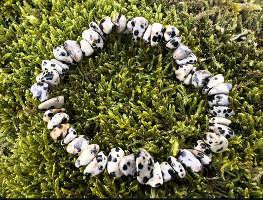 Dalmatian Jasper Stone Chip Bracelet