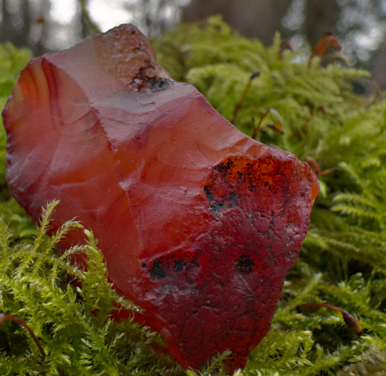 Carnelian Rough Healing Crystal