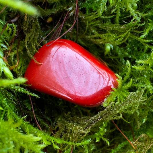 Red Jasper Polished Tumblestone