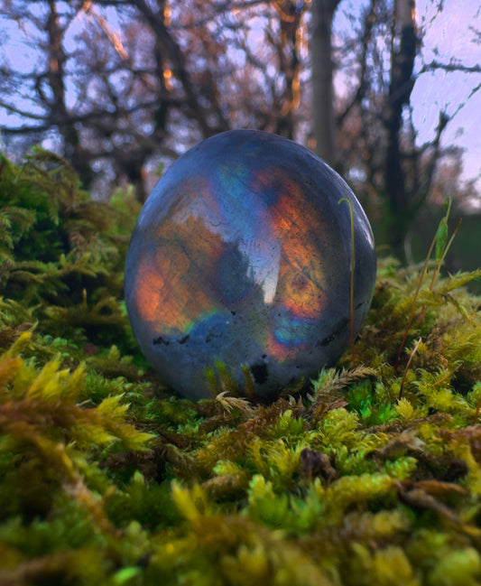 Labradorite Purple Flash Palmstone