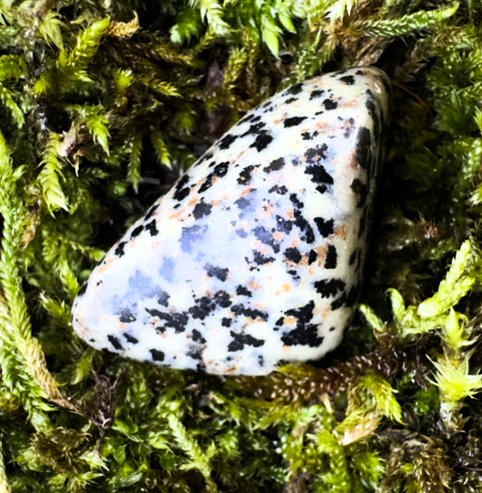 Dalmatian Jasper Tumblestone