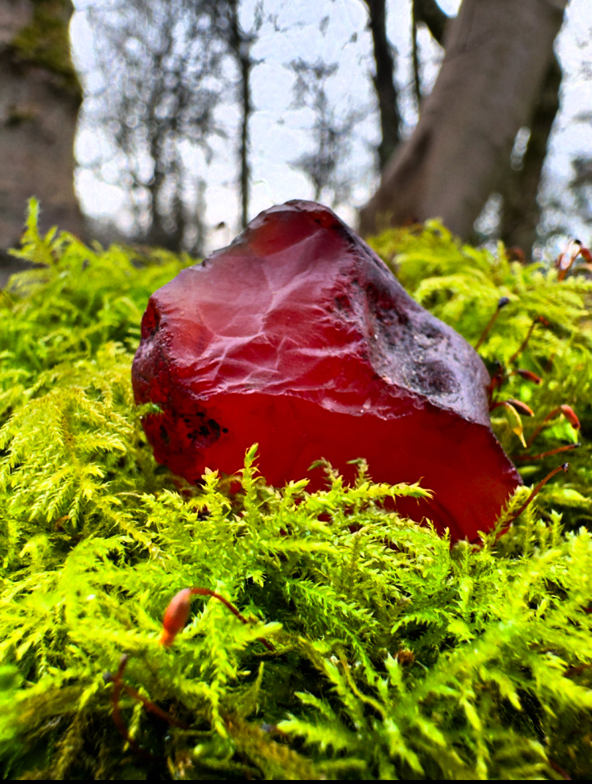 Carnelian Rough Healing Crystal